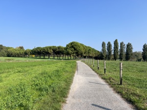IMG 0829