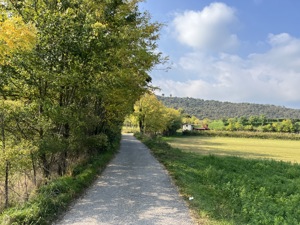 IMG 0852