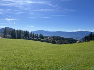 IMG 0341
