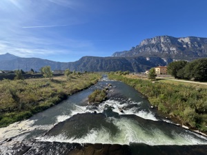 IMG 0554