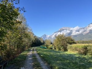 IMG 9776