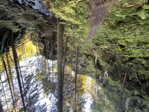 IMG 0370