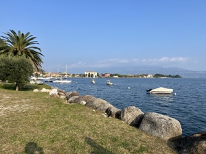 IMG 0895
