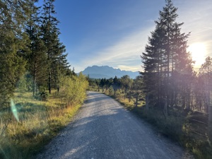 IMG 9887