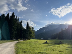 IMG 9562
