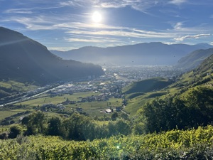 IMG 0444
